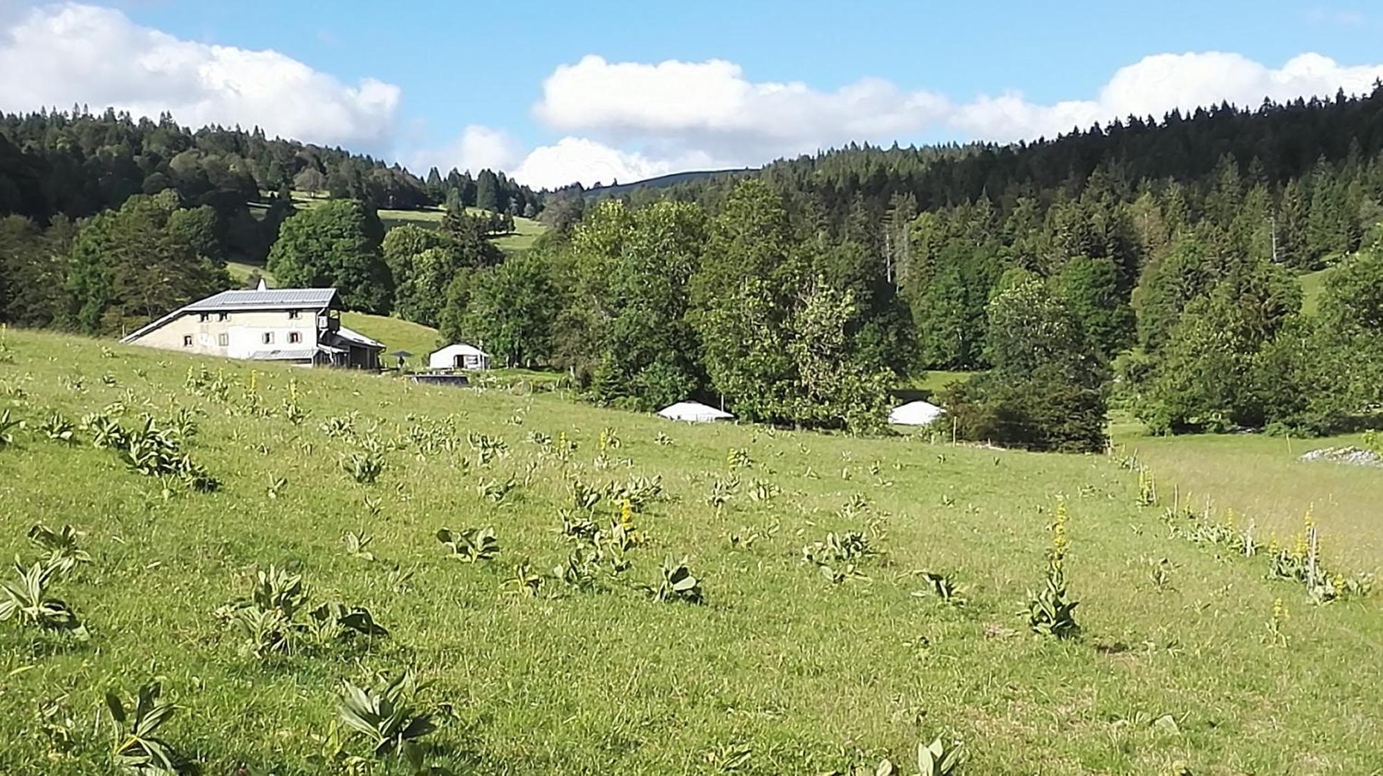 La Petite Echelle Hotel Rochejean Eksteriør billede